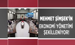 Mehmet Şimşek'in ekonomi yönetimi şekilleniyor!
