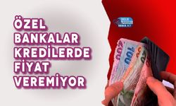 Özel bankalar kredilerde fiyat veremiyor