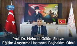 Prof. Dr. Mehmet Gülüm Sincan Eğitim Araştırma Hastanesi Başhekimi Oldu!