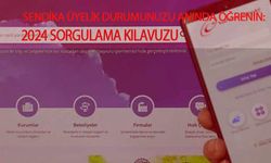 Sendika Üyelik Durumunuzu Anında Öğrenin: 2024 Sorgulama Kılavuzu