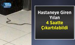 Hastaneye Giren Yılan 4 Saatte Çıkartılabildi