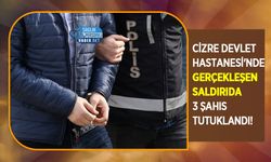 Cizre Devlet Hastanesi'nde Gerçekleşen Saldırıda 3 Şahıs Tutuklandı!