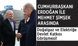Cumhurbaşkanı Erdoğan İle Mehmet Şimşek Arasında Doğalgaz ve Elektriğe Devlet Katkısı Görüşmesi!