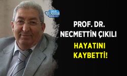 Prof. Dr. Necmettin Çıkılı Hayatını Kaybetti!