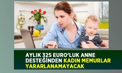 Aylık 325 Euro’luk Anne Desteğinden Kadın Memurlar Yararlanamayacak