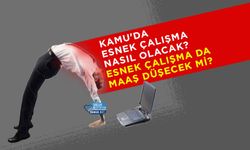 Uzmanı Cevapladı: Kamu'da Esnek Çalışma Nasıl Olacak? Esnek Çalışma da Maaş Düşecek mi?