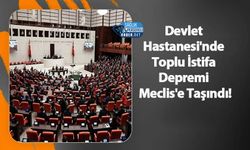 Devlet Hastanesi'nde Toplu İstifa Depremi Meclis'e Taşındı!