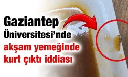 Üniversitesi Hastanesi'nde Yemek Skandalı: Bamya Yemeğinden Kurt Çıktı