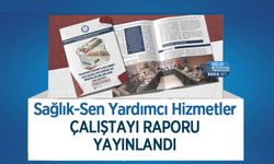 Sağlık-Sen Yardımcı Hizmetler Çalıştayı Raporu Yayınlandı