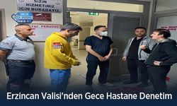 Erzincan Valisi'nden Gece Hastane Denetim