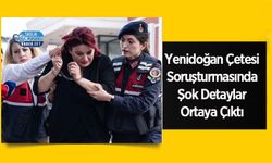 Yenidoğan Çetesi Soruşturmasında Şok Detaylar Ortaya Çıktı