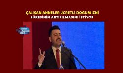 Çalışan Anneler Ücretli Doğum İzni Süresinin Artırılmasını İstiyor