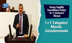 Genç Sağlık Sendikası'ndan ‘3+1 Sistemi’ İtirazı: 1+1 Talepleri Meclis Gündeminde