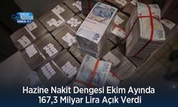 Hazine Nakit Dengesi Ekim Ayında 167,3 Milyar Lira Açık Verdi