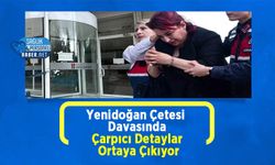 Yenidoğan Çetesi Davasında Çarpıcı Detaylar Ortaya Çıkıyor