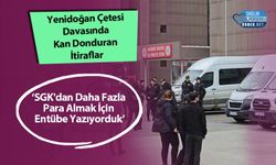 Yenidoğan Çetesi Davasında Kan Donduran İtiraflar: ‘SGK'dan Daha Fazla Para Almak İçin Entübe Yazıyorduk’