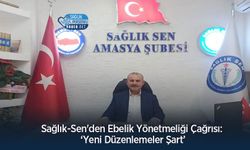 Sağlık-Sen'den Ebelik Yönetmeliği Çağrısı: ‘Yeni Düzenlemeler Şart’