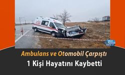 Ambulans ve Otomobil Çarpıştı: 1 Kişi Hayatını Kaybetti