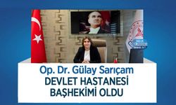 Op. Dr. Gülay Sarıçam Devlet Hastanesi Başhekimi Oldu