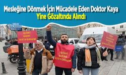 Mesleğine Dönmek İçin Mücadele Eden Doktor Kaya Yine Gözaltında Alındı