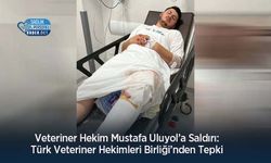 Veteriner Hekim Mustafa Uluyol’a Saldırı: Türk Veteriner Hekimleri Birliği’nden Tepki