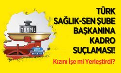 Türk Sağlık-Sen Şube Başkanına Kadro Suçlaması!