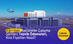 Ağrı'daki Hastanelerin Çalışma Şartları: Teşvik Ödemeleri, Kira Fiyatları Nasıl? Çalışan Yorumları