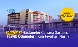 Muş'taki Hastanelerin Çalışma Şartları: Teşvik Ödemesi Ne Kadar? Kira Fiyatları Nasıl? Çalışan Yorumları