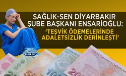 Sağlık-Sen Diyarbakır Şube Başkanı Ensarioğlu: ‘Teşvik Ödemelerinde Adaletsizlik Derinleşti’