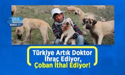 Türkiye Artık Doktor İhraç Ediyor, Çoban İthal Ediyor!