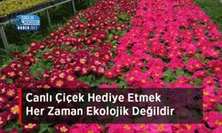 Canlı Çiçek Hediye Etmek Her Zaman Ekolojik Değildir