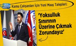 Kamu Çalışanları İçin Yeni Maaş Talepleri: 'Yoksulluk Sınırının Üzerine Çıkmak Zorundayız'