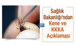 Sağlık Bakanlığı'ndan Kene ve KKKA Açıklaması