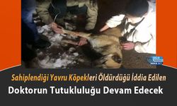Sahiplendiği Yavru Köpekleri Öldürdüğü İddia Edilen Doktorun Tutukluluğu Devam Edecek