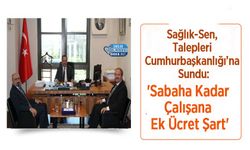 Sağlık-Sen, Talepleri Cumhurbaşkanlığı’na Sundu: 'Sabaha Kadar Çalışana Ek Ücret Şart'