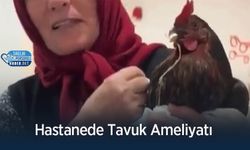 Hastanede Tavuk Ameliyatı