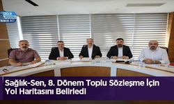 Sağlık-Sen, 8. Dönem Toplu Sözleşme İçin Yol Haritasını Belirledi