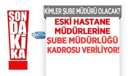 Eski Hastane Müdürlerine Şube Müdürlüğü Kadrosu Veriliyor!