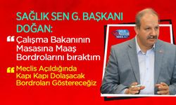 Sağlık-Sen Genel Başkanı Doğan: 'Diplomanın Hakkını İstiyoruz' - 'Bakanın Masasına Bordroları Koydum'