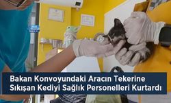 Bakan Konvoyundaki Aracın Tekerine Sıkışan Kediyi Sağlık Personelleri Kurtardı