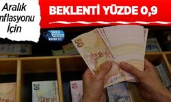 Aralık Enflasyonu İçin Beklenti Yüzde 0,9