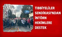 Tıbbiyeliler Sendikası'ndan İntörn Hekimlere Destek