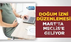 Doğum İzni Düzenlemesi Mart’ta Meclis’e Geliyor