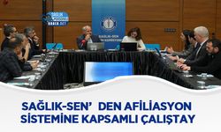 Sağlık-Sen’den Afiliasyon Sistemine Kapsamlı Çalıştay