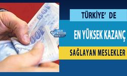 Türkiye’de En Yüksek Kazanç Sağlayan Meslekler