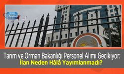 Tarım ve Orman Bakanlığı Personel Alımı Gecikiyor: İlan Neden Hâlâ Yayımlanmadı?