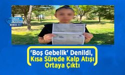 'Boş Gebelik' Denildi, Kısa Sürede Kalp Atışı Ortaya Çıktı