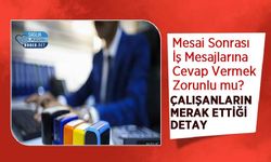 Mesai Sonrası İş Mesajlarına Cevap Vermek Zorunlu mu? Çalışanların Merak Ettiği Detay