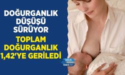 Hayat Pahalılığı Doğurganlığı Düşürüyor: Toplam Doğurganlık 1,42'ye Geriledi