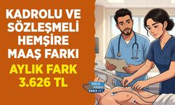 Sözleşmeli ve Kadrolu Hemşire Maaşı Neden Farklı?